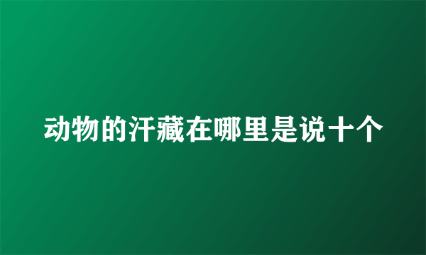 动物的汗藏在哪里是说十个