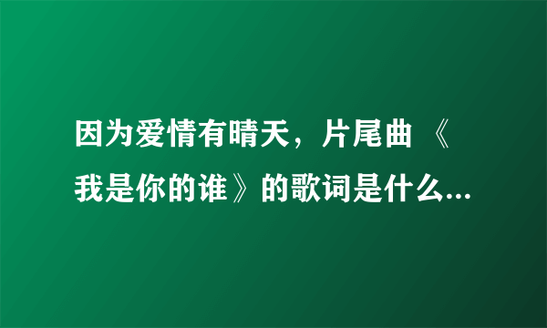 因为爱情有晴天，片尾曲 《我是你的谁》的歌词是什么？求解！