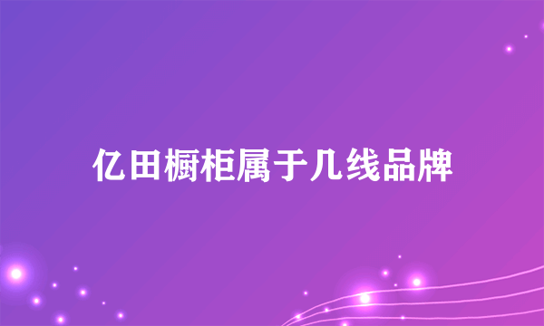 亿田橱柜属于几线品牌