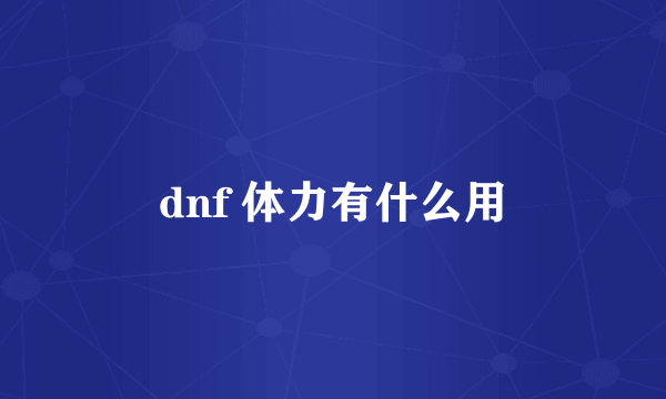 dnf 体力有什么用