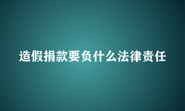 造假捐款要负什么法律责任