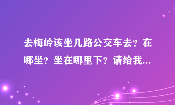 去梅岭该坐几路公交车去？在哪坐？坐在哪里下？请给我确切的答复。