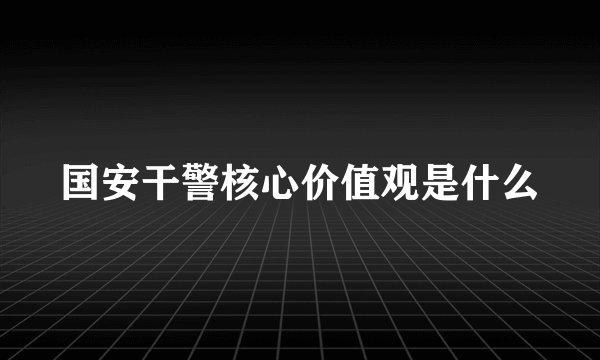 国安干警核心价值观是什么