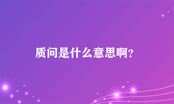 质问是什么意思啊？