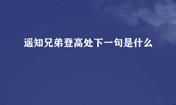 遥知兄弟登高处下一句是什么