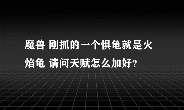 魔兽 刚抓的一个惧龟就是火焰龟 请问天赋怎么加好？