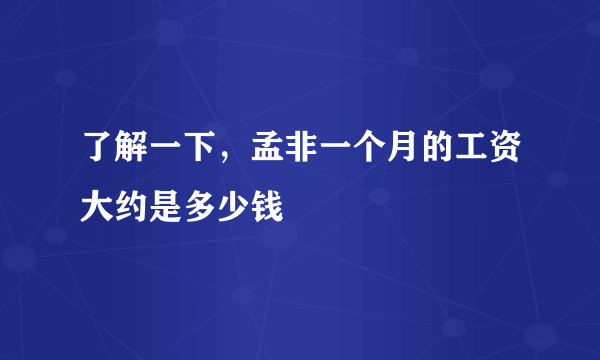 了解一下，孟非一个月的工资大约是多少钱