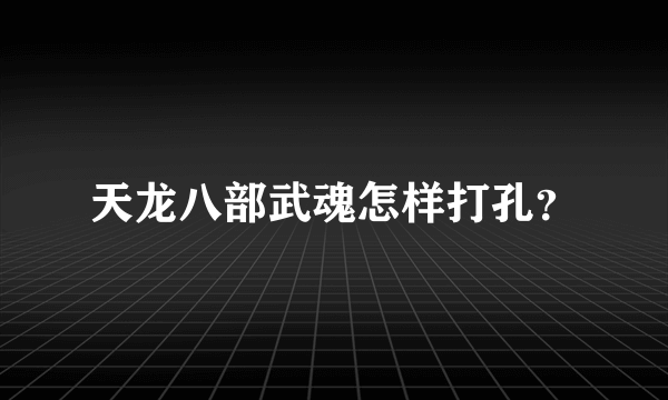 天龙八部武魂怎样打孔？