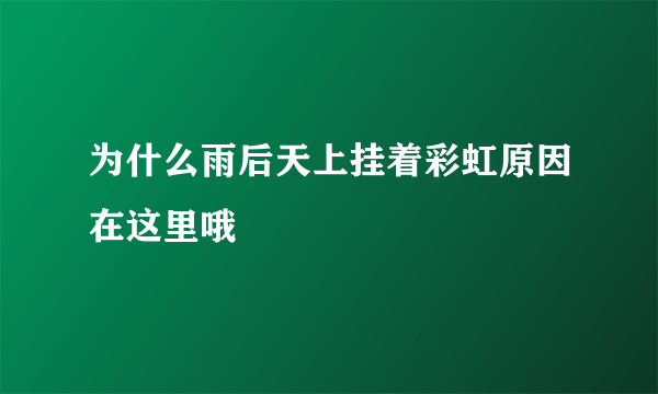 为什么雨后天上挂着彩虹原因在这里哦