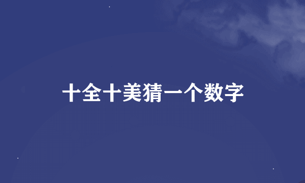 十全十美猜一个数字