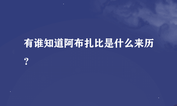 有谁知道阿布扎比是什么来历？