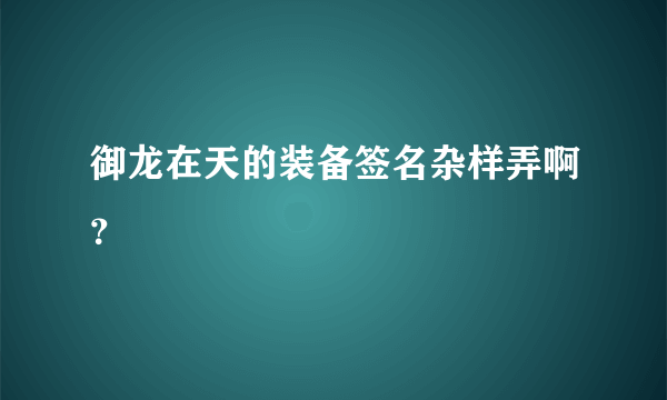 御龙在天的装备签名杂样弄啊？