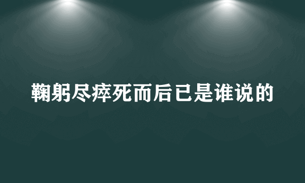 鞠躬尽瘁死而后已是谁说的