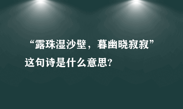 “露珠湿沙壁，暮幽晓寂寂”这句诗是什么意思?