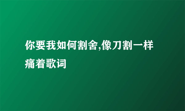 你要我如何割舍,像刀割一样痛着歌词