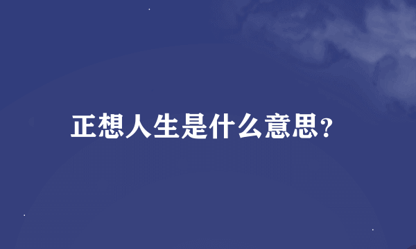 正想人生是什么意思？