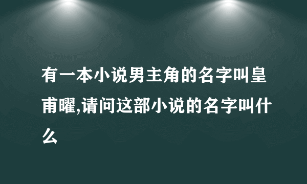 有一本小说男主角的名字叫皇甫曜,请问这部小说的名字叫什么