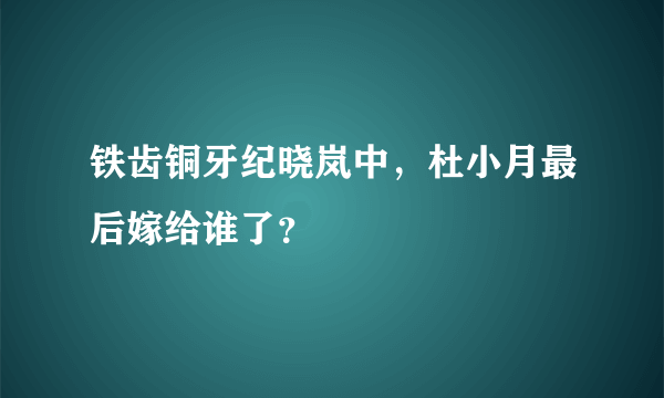 铁齿铜牙纪晓岚中，杜小月最后嫁给谁了？