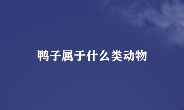 鸭子属于什么类动物