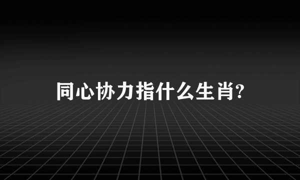 同心协力指什么生肖?