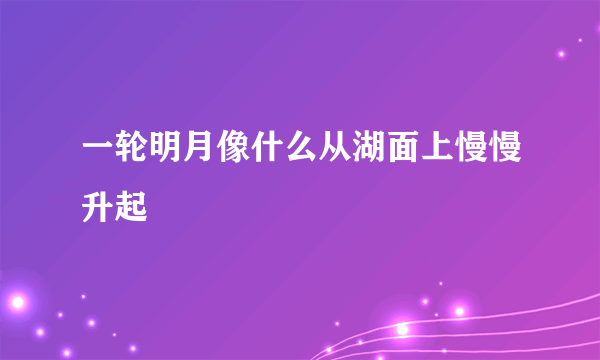 一轮明月像什么从湖面上慢慢升起