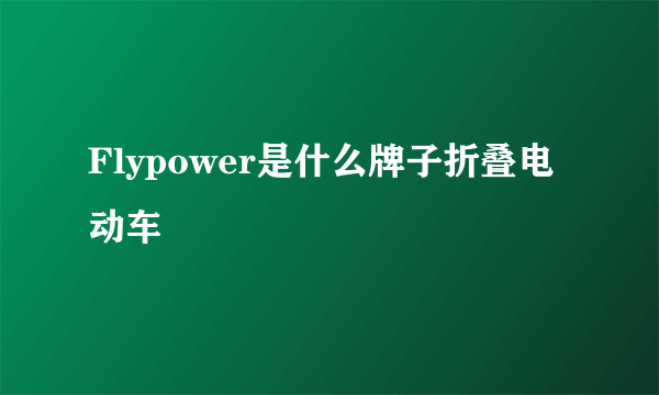 Flypower是什么牌子折叠电动车