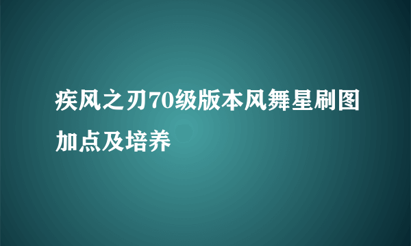 疾风之刃70级版本风舞星刷图加点及培养