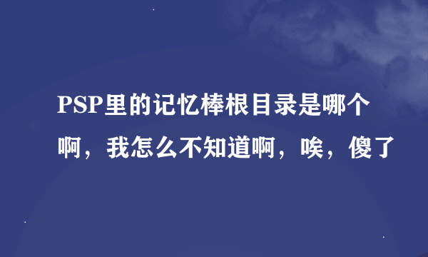 PSP里的记忆棒根目录是哪个啊，我怎么不知道啊，唉，傻了