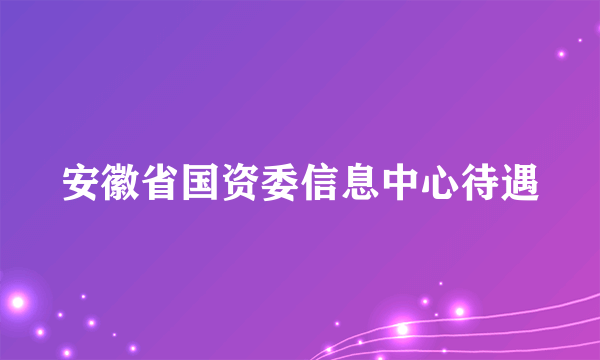 安徽省国资委信息中心待遇