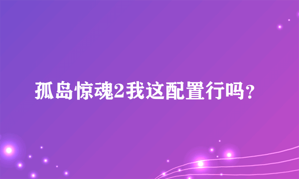 孤岛惊魂2我这配置行吗？