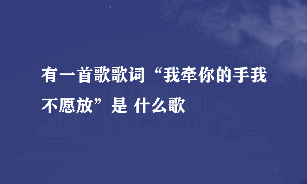 有一首歌歌词“我牵你的手我不愿放”是 什么歌