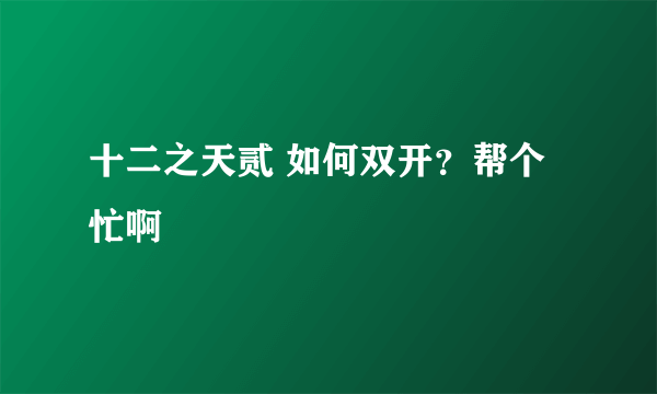 十二之天贰 如何双开？帮个忙啊