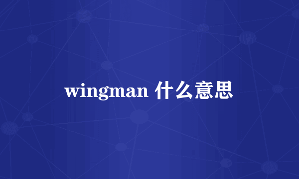 wingman 什么意思