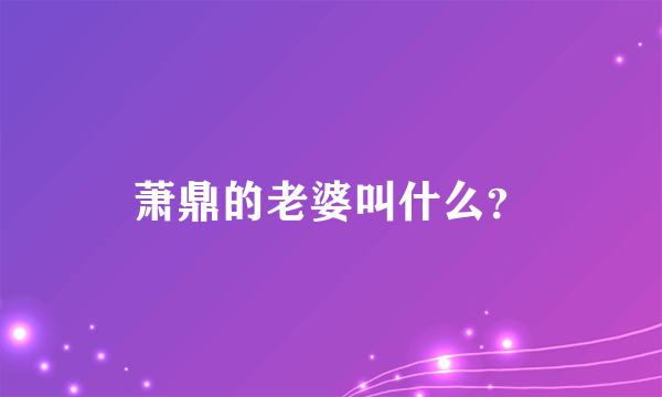 萧鼎的老婆叫什么？