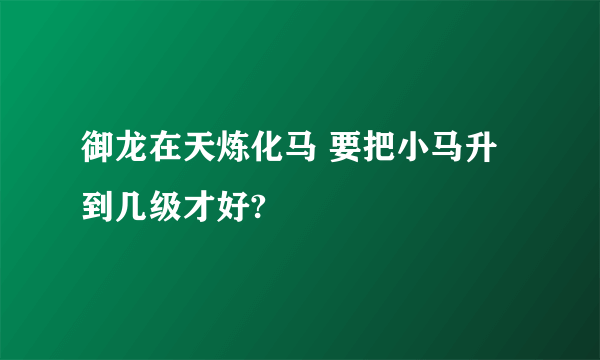 御龙在天炼化马 要把小马升到几级才好?