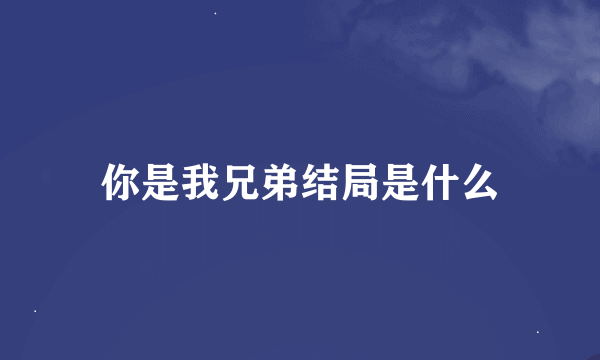 你是我兄弟结局是什么