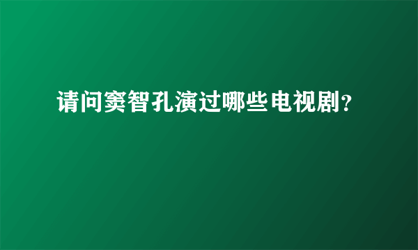 请问窦智孔演过哪些电视剧？