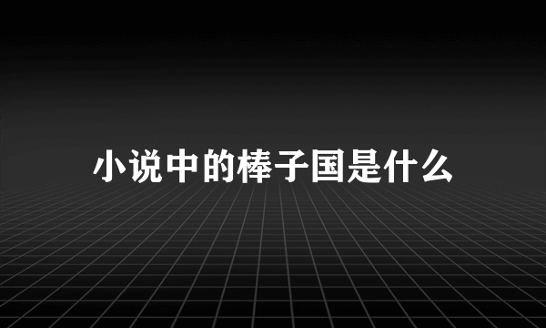 小说中的棒子国是什么