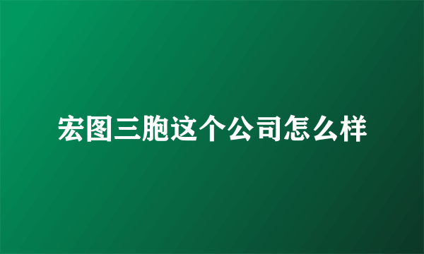 宏图三胞这个公司怎么样