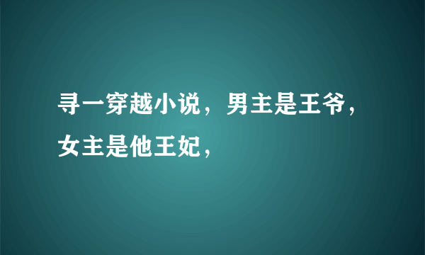 寻一穿越小说，男主是王爷，女主是他王妃，