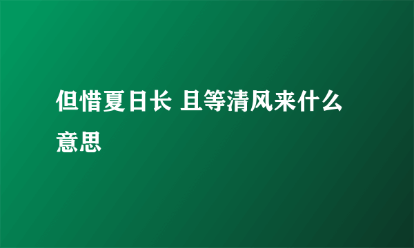 但惜夏日长 且等清风来什么意思