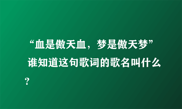 “血是傲天血，梦是傲天梦” 谁知道这句歌词的歌名叫什么？