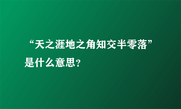 “天之涯地之角知交半零落”是什么意思？