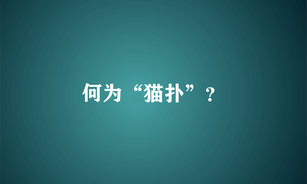 何为“猫扑”？