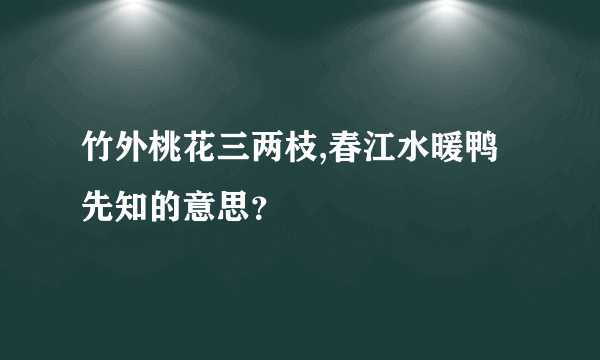 竹外桃花三两枝,春江水暖鸭先知的意思？