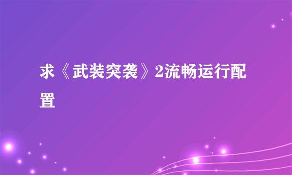 求《武装突袭》2流畅运行配置