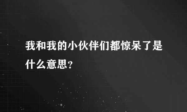 我和我的小伙伴们都惊呆了是什么意思？