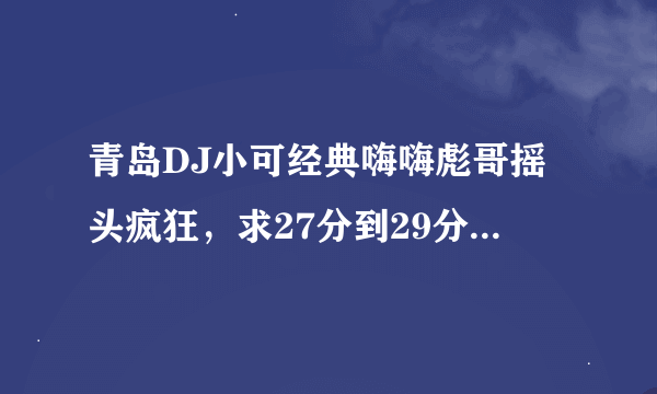 青岛DJ小可经典嗨嗨彪哥摇头疯狂，求27分到29分钟的音乐名，如果全都知道那就更好了