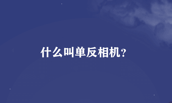 什么叫单反相机？