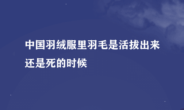 中国羽绒服里羽毛是活拔出来还是死的时候